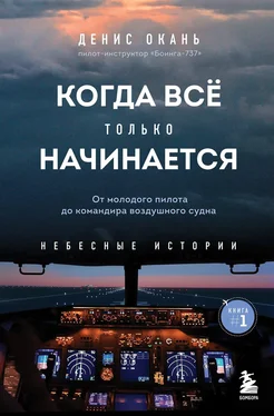 Денис Окань Когда всё только начинается. От молодого пилота до командира воздушного судна обложка книги