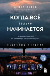 Денис Окань - Когда всё только начинается. От молодого пилота до командира воздушного судна