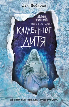 Дэн Поблоки Каменное дитя обложка книги