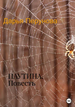 Дарья Перунова Паутина обложка книги