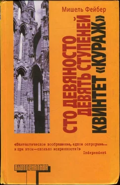 Мишель Фейбер Сто девяносто девять ступеней. Квинтет «Кураж» обложка книги