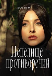 Элиз Вюрм - Пепелище противоречий