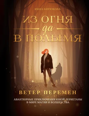 Инна Бирюкова Ветер перемен обложка книги