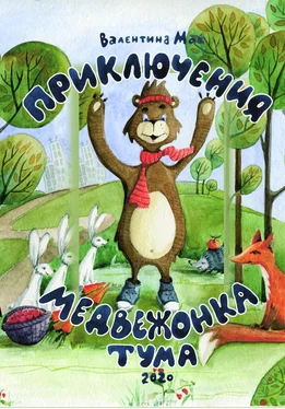 Валентина Мак Приключения медвежонка Тума обложка книги