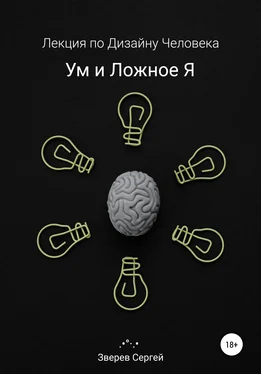 Сергей Зверев Ум и ложное я. Лекция по дизайну человека обложка книги