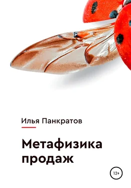 Илья Панкратов Метафизика продаж обложка книги