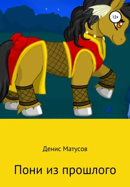 Денис Матусов Пони из прошлого обложка книги