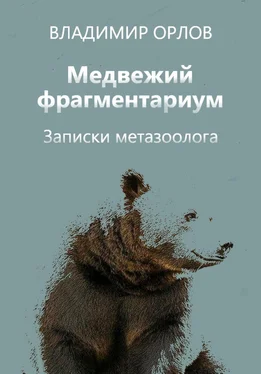 Владимир Орлов Медвежий фрагментариум. Записки метазоолога обложка книги