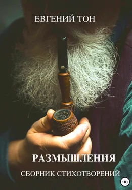 Евгений Тон Размышления обложка книги