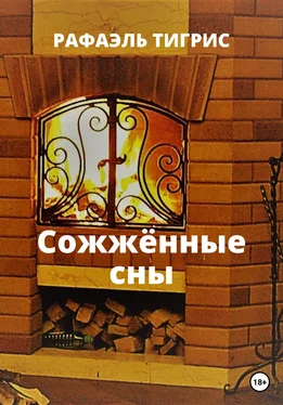 Тигрис Рафаэль Сожжённые сны обложка книги