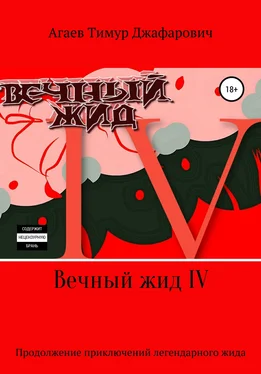 Тимур Агаев Вечный жид IV обложка книги