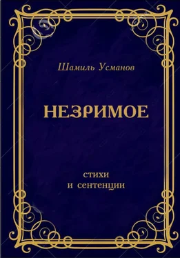 Шамиль Усманов Незримое обложка книги