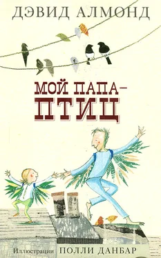 Дэвид Алмонд Мой папа - птиц обложка книги