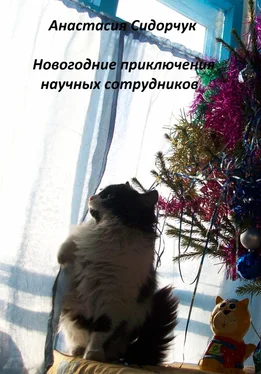 Анастасия Сидорчук Новогодние приключения научных сотрудников обложка книги