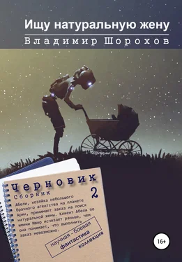 Владимир Шорохов Ищу натуральную жену обложка книги