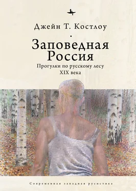 Джейн Т. Костлоу Заповедная Россия. Прогулки по русскому лесу XIX века обложка книги