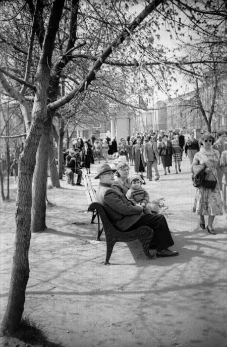 Липовая аллея центр Орла май 1959 года Фотография из личного архива Елены - фото 3