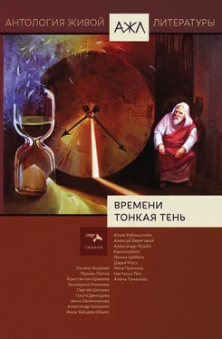 Array Антология Времени тонкая тень обложка книги