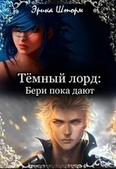 Эрика Шторм - Тёмный лорд - Бери пока дают (СИ)