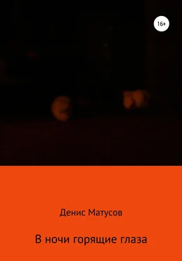 Денис Матусов В ночи горящие глаза обложка книги