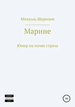Михаэль Шарипов Марине обложка книги