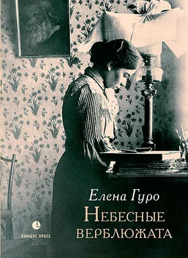 Елена Гуро Небесные верблюжата обложка книги