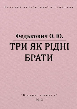 Юрій Федькович ТРИ ЯК РІДНІ БРАТИ обложка книги