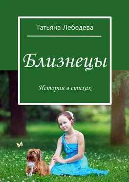 Татьяна Лебедева Близнецы обложка книги