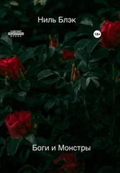 Ниль Блэк - Боги и Монстры
