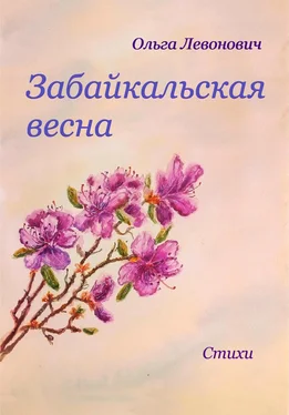 Ольга Левонович Забайкальская весна обложка книги