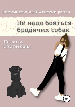 Натали Свиридова Не надо бояться бродячих собак обложка книги