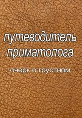 Игорь Озеров - Путеводитель приматолога