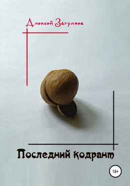 Алексей Загуляев Последний кодрант обложка книги