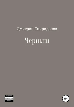 Дмитрий Спиридонов Черныш обложка книги