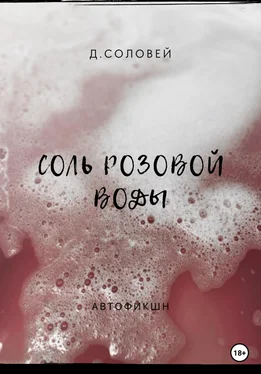 Д. Соловей Соль розовой воды обложка книги