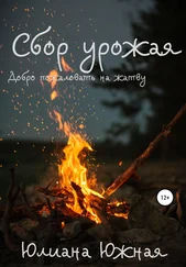 Юлиана Южная - Сбор урожая