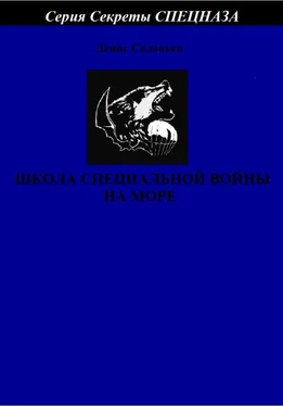 Денис Соловьев Школа специальной войны на море обложка книги