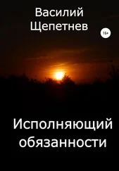 Василий Щепетнев - Исполняющий обязанности