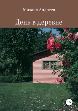 Михаил Андреев День в деревне обложка книги