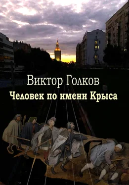 Виктор Голков Человек по имени Крыса обложка книги