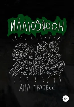 Ана Гратесс Иллюзюон обложка книги