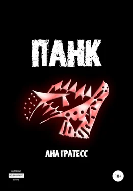 Ана Гратесс Панк обложка книги