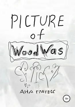 Ана Гратесс Picture of WoodWas обложка книги