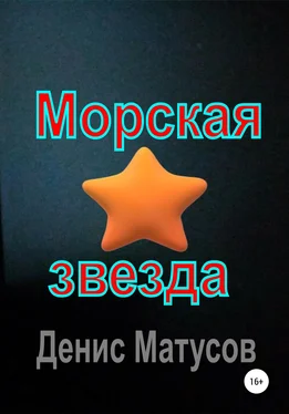 Денис Матусов Морская звезда обложка книги