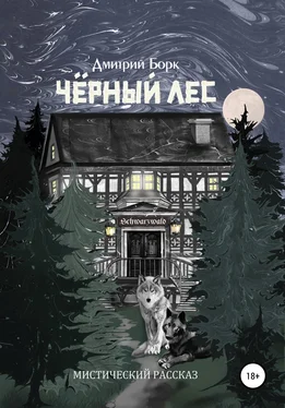 Дмитрий Борк Черный Лес обложка книги