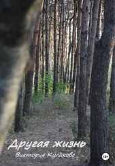 Виктория Куликова - Другая жизнь