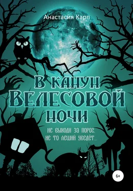 Анастасия Карп В канун Велесовой ночи обложка книги