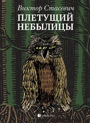 Виктор Стасевич - Плетущий небылицы