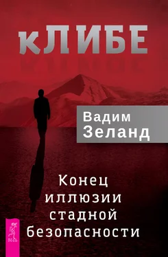 Вадим Зеланд кЛИБЕ. Конец иллюзии стадной безопасности обложка книги