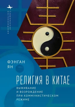 Фэнган Ян Религия в Китае. Выживание и возрождение при коммунистическом режиме обложка книги